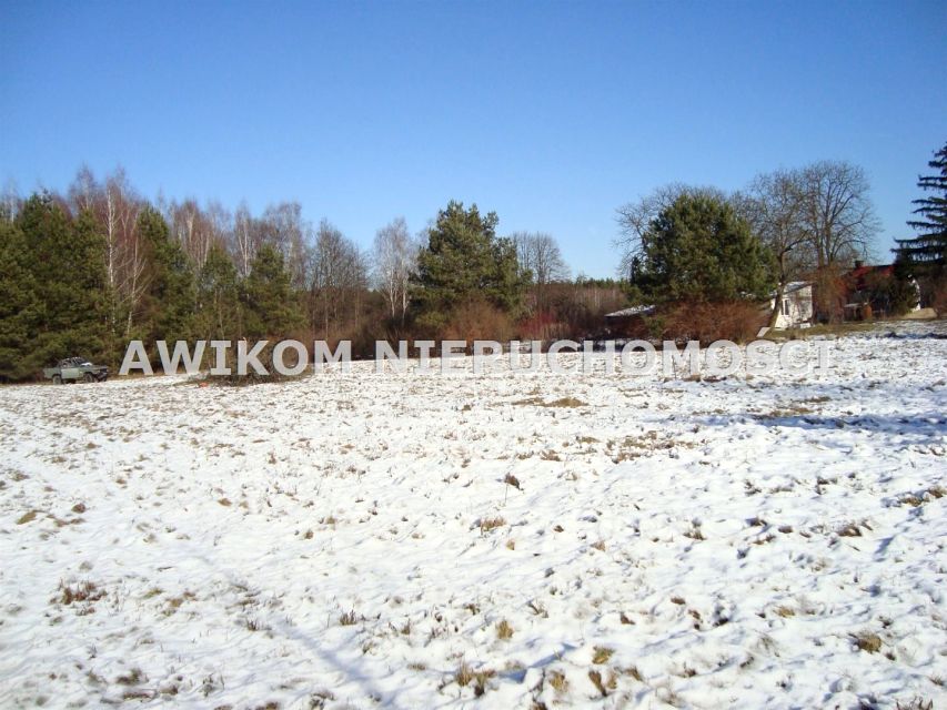 Działka siedliskowa Petrykozy