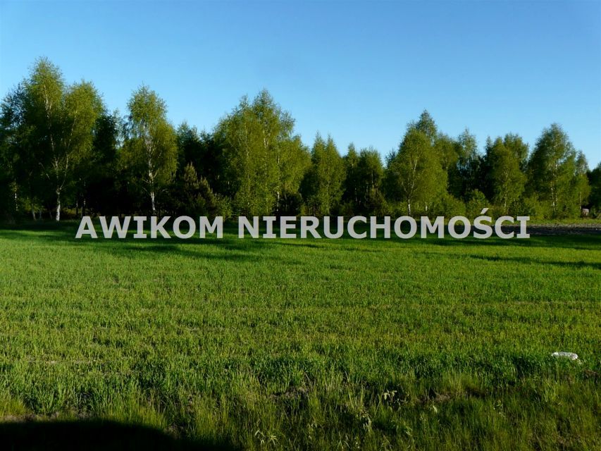 Działka siedliskowa Bełchów