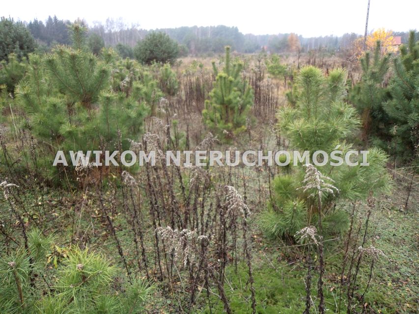 Działka budowlana Zalesie