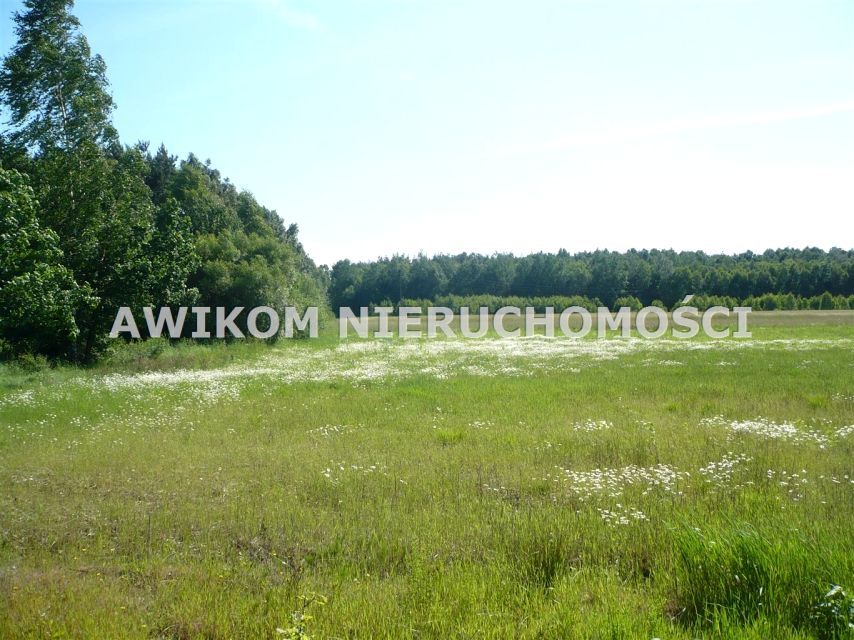 Działka siedliskowa Joachimów-Mogiły