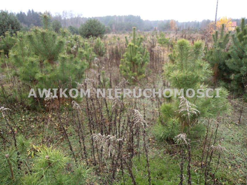 Działka budowlana Zalesie