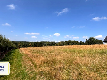 Działka budowlana Wola Wieruszycka