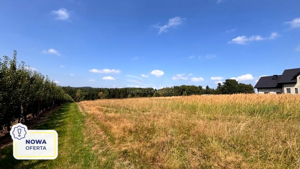 Działka budowlana Wola Wieruszycka
