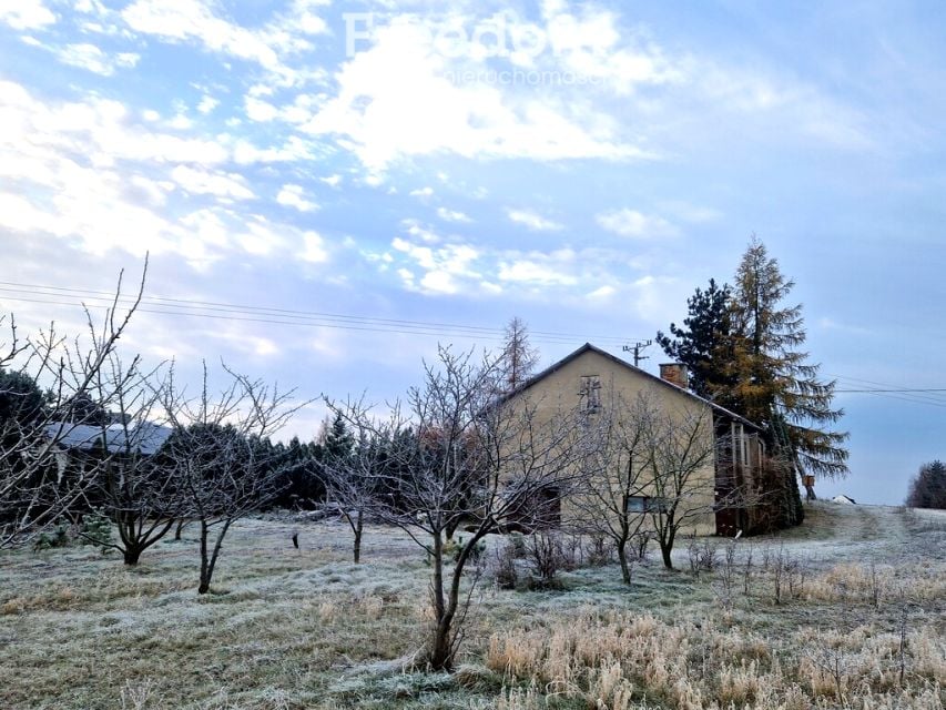 Zdjęcie 3
