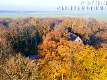 Dom Chlewiska sprzedaż