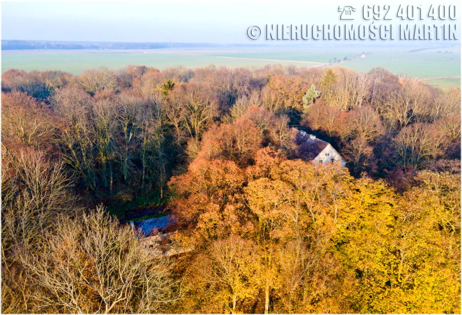 Dom Chlewiska sprzedaż