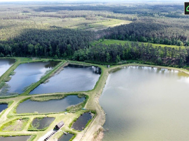 Dom Biestrzynnik sprzedaż