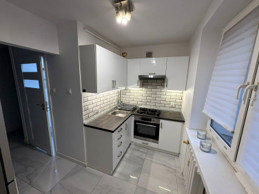 Mieszkanie Leszno wynajem