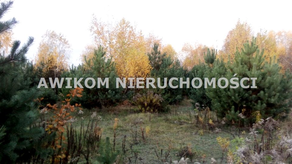 Działka budowlana Skierniewice