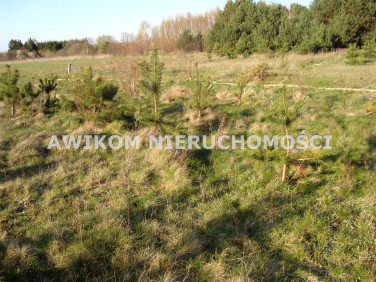 Działka budowlana Żelechów