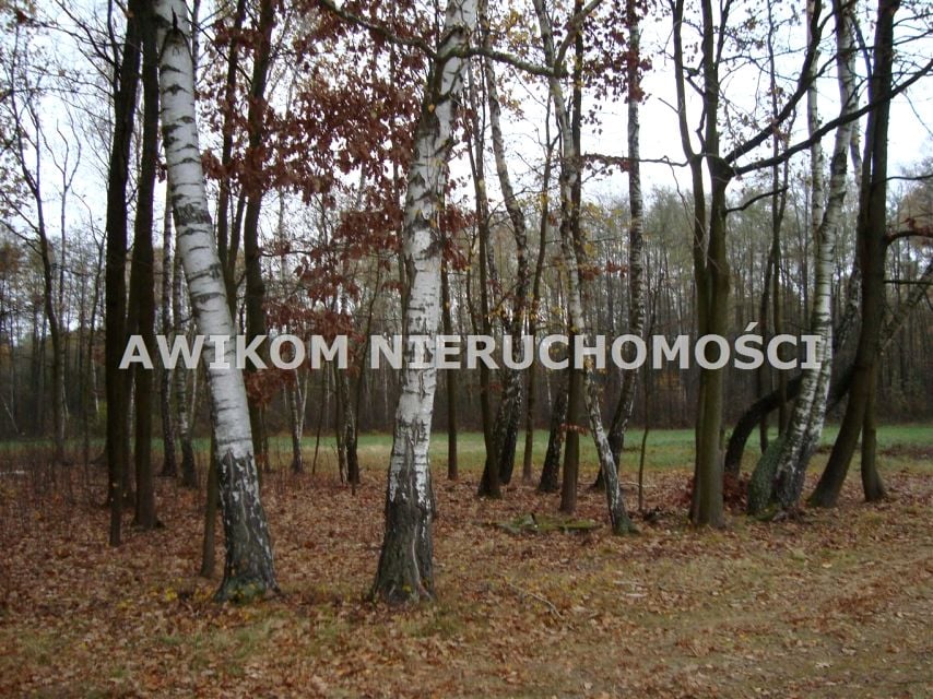 Zdjęcie 2