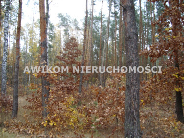 Działka budowlana Ojrzanów