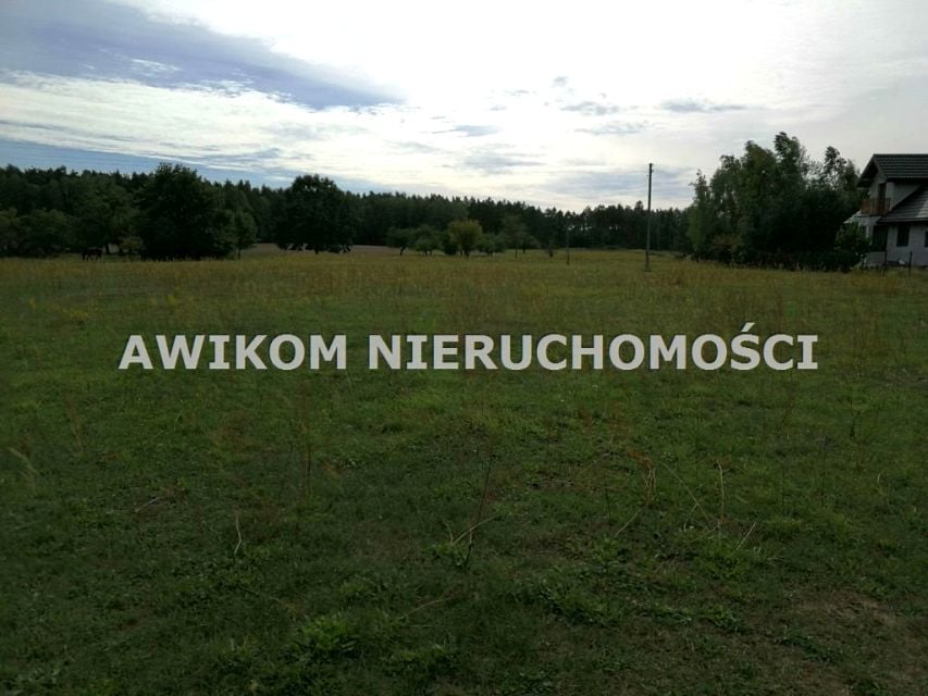 Zdjęcie 3