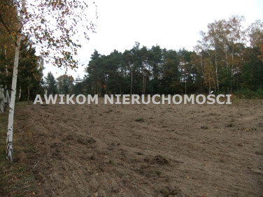 Działka budowlana Skierniewice