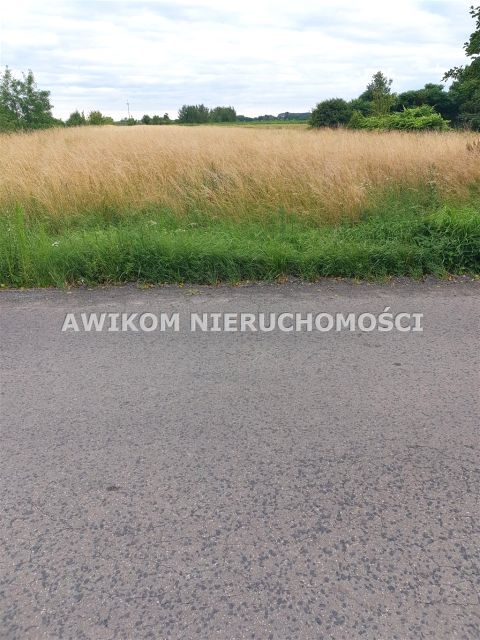 Zdjęcie 2
