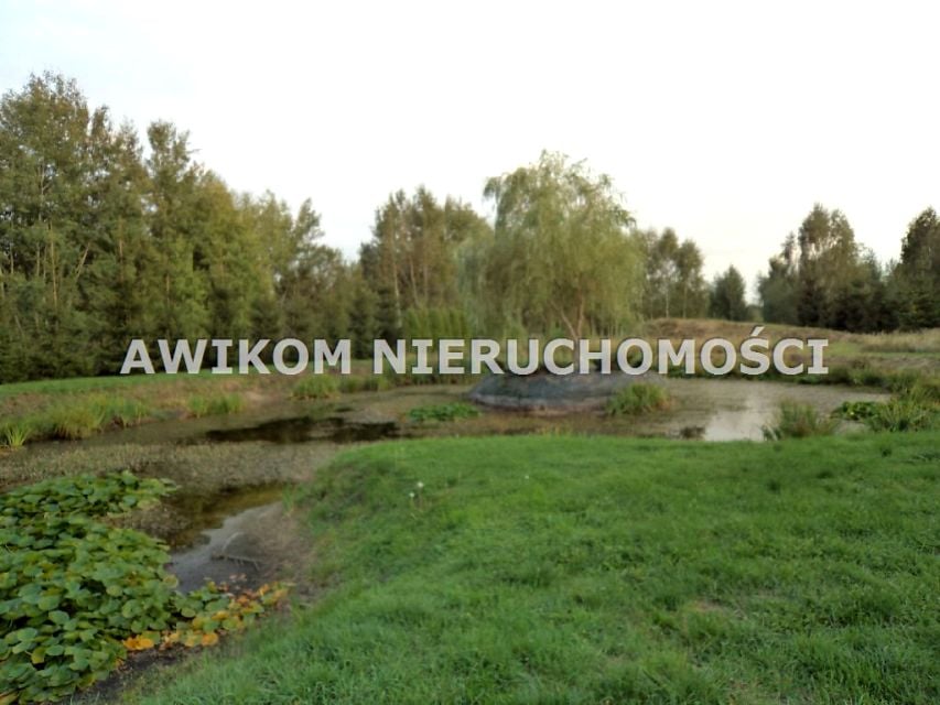 Zdjęcie 2