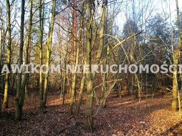 Pusta działka Komorów