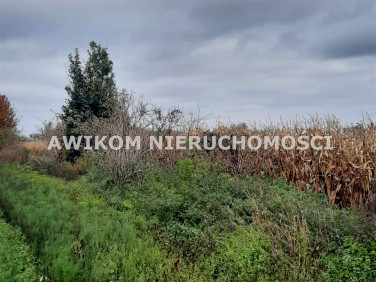 Działka siedliskowa Zazdrość