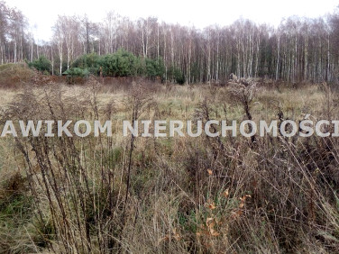 Działka budowlana Pęcice