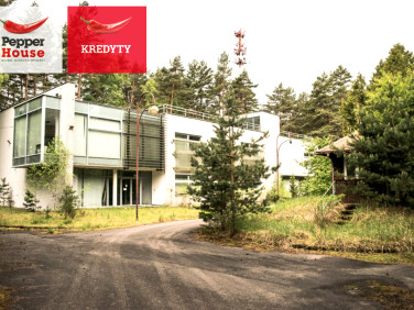 Działka rekreacyjna Borucza