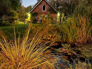 Dom Krępsko sprzedaż