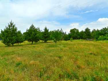 Działka budowlano-rolna Niecki