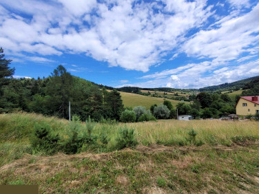 Działka Krzyżówka