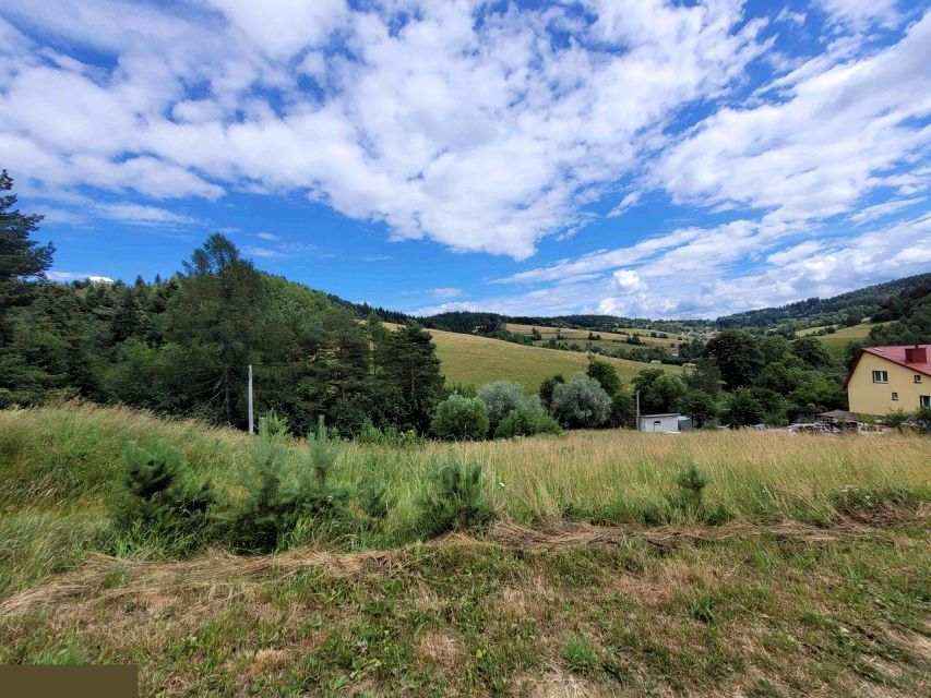 Działka Krzyżówka