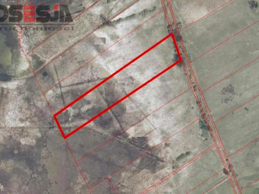 Działka rekreacyjna Wierzbno