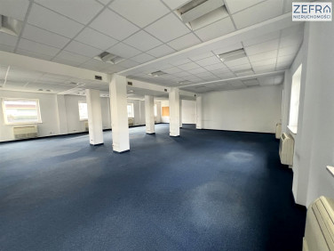 Lokal Kraków wynajem