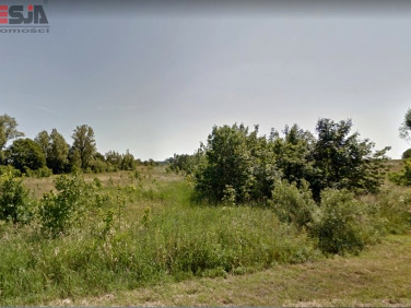 Działka usługowa Szczecin