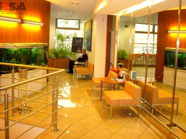 Lokal Szczecin wynajem