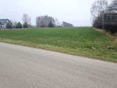 Działka budowlana Parole