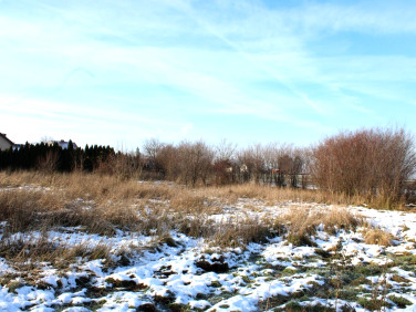 Działka budowlana Pokrzywnica