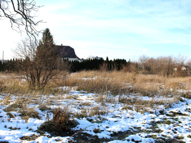 Działka Pokrzywnica