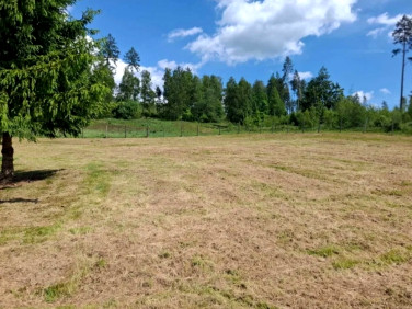 Działka budowlana Kudowa-Zdrój