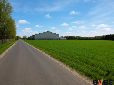 Działka usługowa Pawłów Trzebnicki