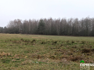 Działka rolna Żabia Wola