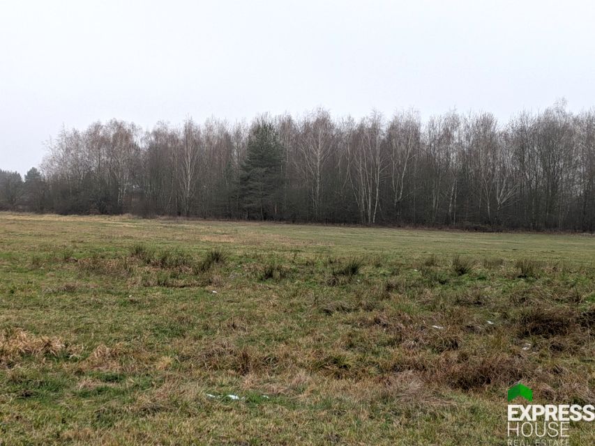 Działka rolna Żabia Wola