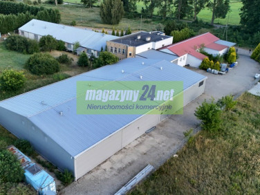 Budynek użytkowy Goleniów sprzedaż