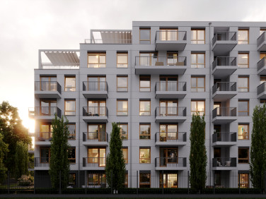 Pulse Wzgórze Wolności