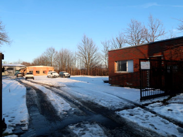 Budynek użytkowy Złotoryja