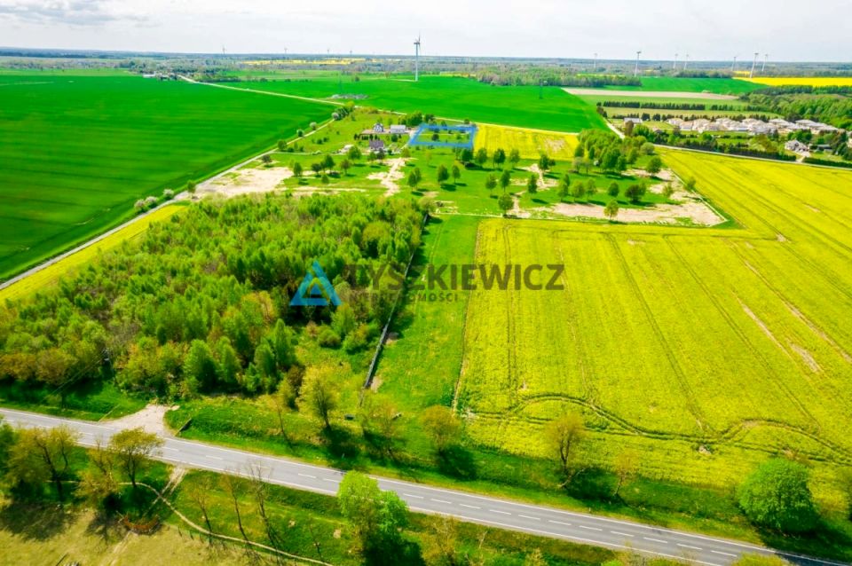 Zdjęcie 4