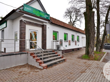 Lokal Żabno