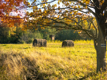 Działka rolna Rozdziele sprzedam