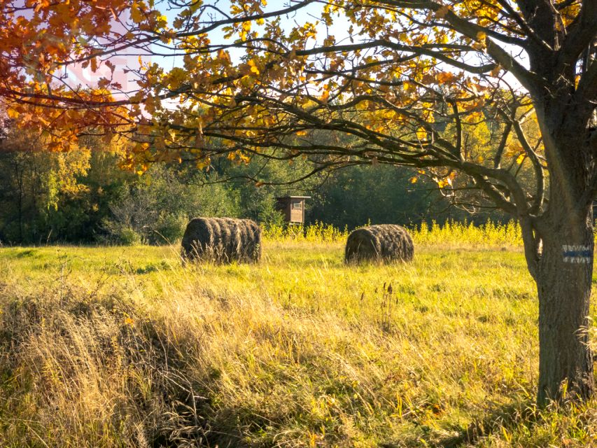Działka rolna Rozdziele sprzedam