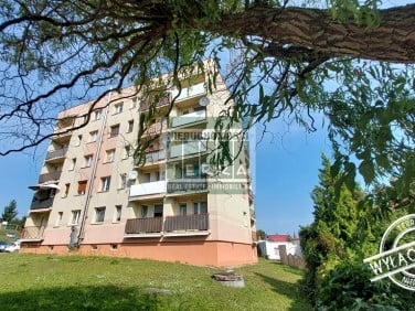 Mieszkanie Czerwieńsk