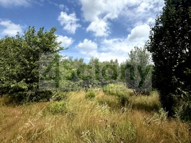 Działka przy lesie
