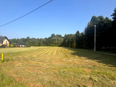 Działka budowlana Pietrzykowice