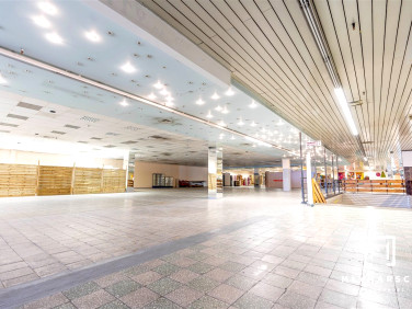 Lokal Bielsko-Biała